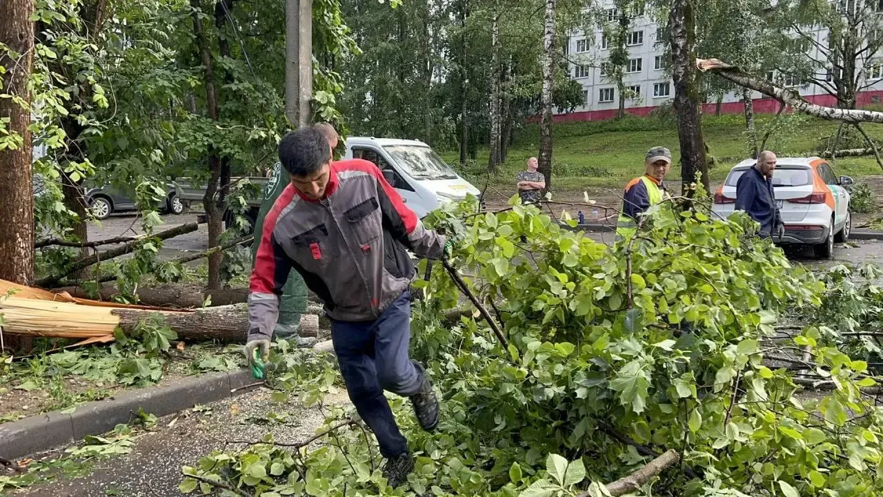 телеграм-канал главы Дмитровского муниципального округа