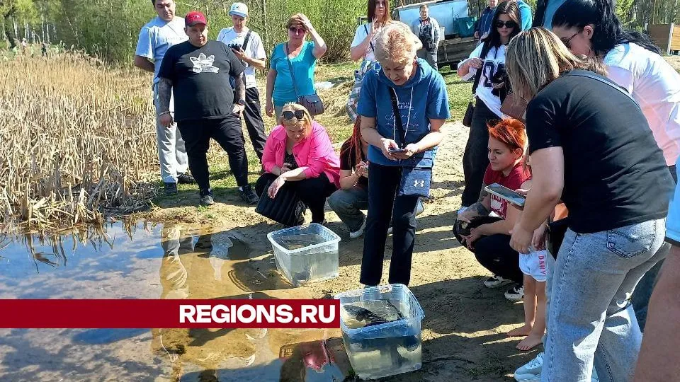 Фото: REGIONS/Олег Книжник