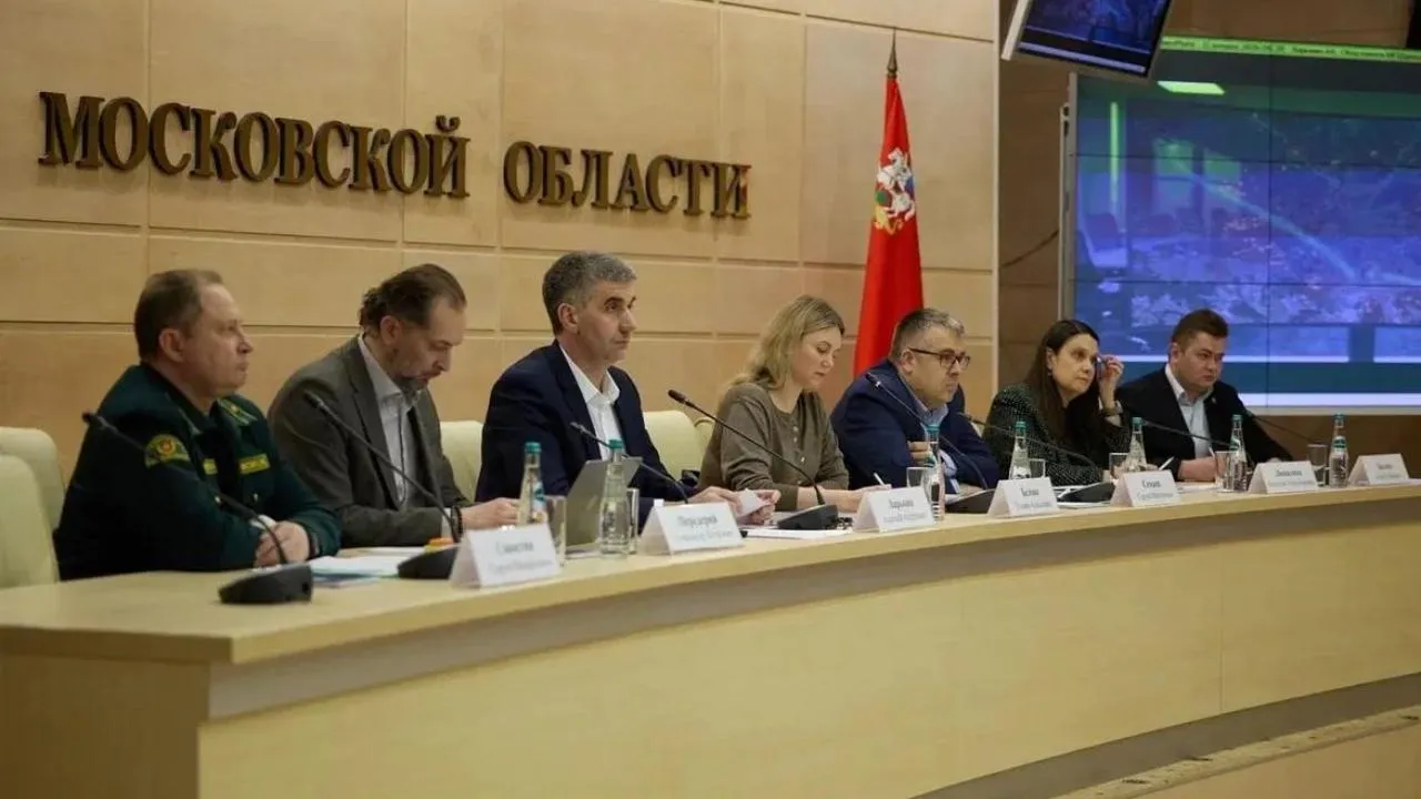 В Подмосковье обсудили переход к новой модели управления лесным хозяйством
