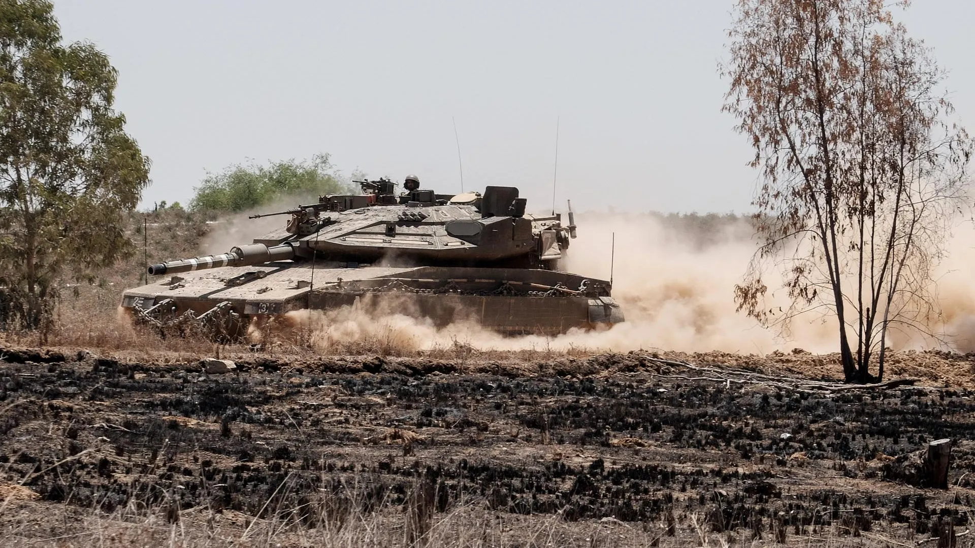 Nir Alon/ZUMAPRESS.com