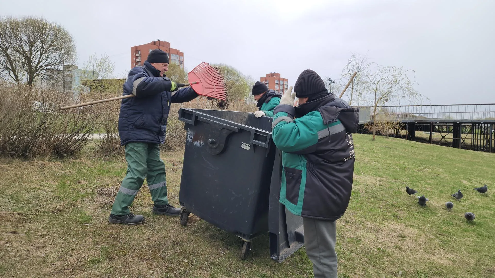 Картинка