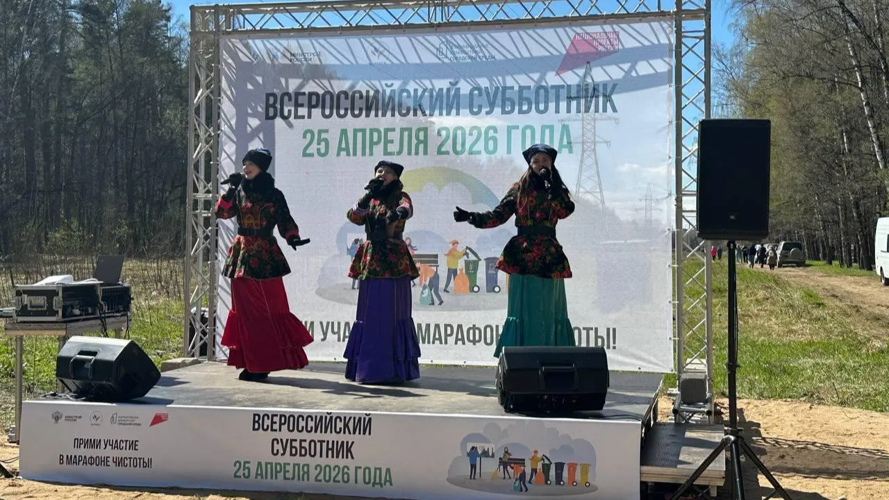 Забота о лесах стала общей ценностью: в Подмосковье завершилась региональная акция «Субботник в лесу»