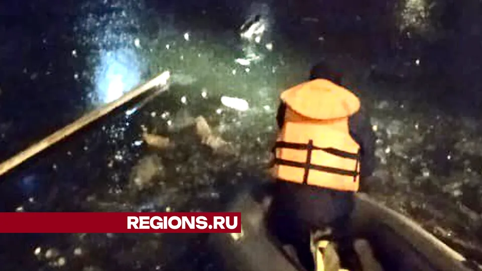 Фото: Михаил Уробушкин