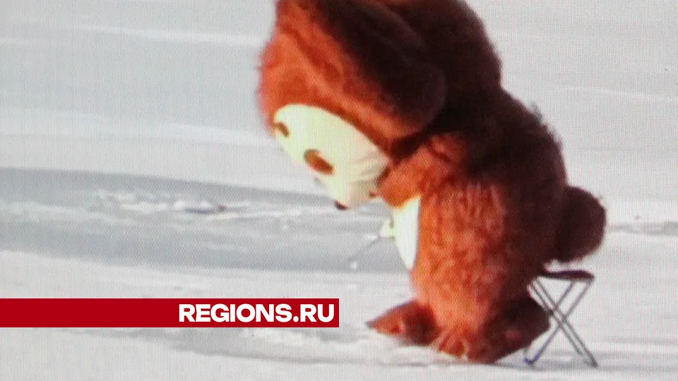 Фото: REGIONS/Василий Тремасов