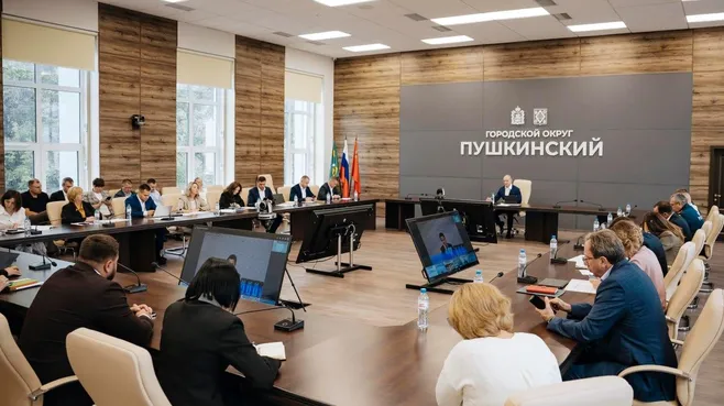 Городской округ Пушкинский практически полностью перешел на собственное содержание территорий