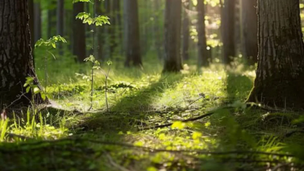Фото: freepik.com