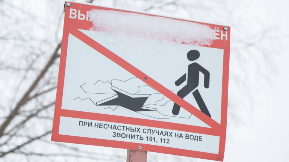 Фото: МедиаБанк Подмосковья/Владимир Думчев