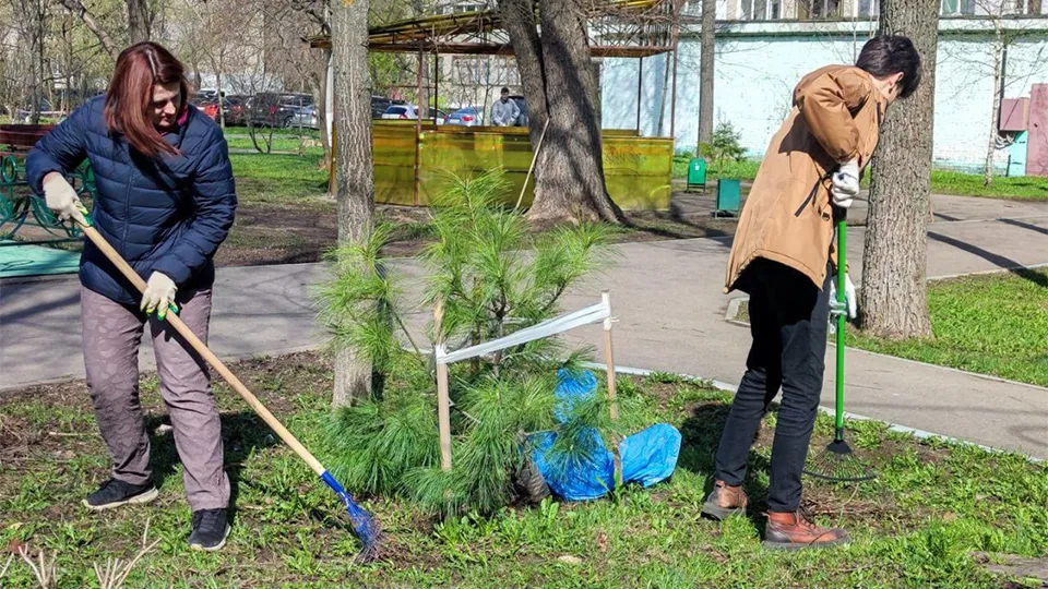 Фото: пресс-служба администрации городского округа Королев