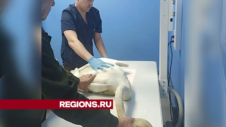 Фото: Ольга Пятикрестовская