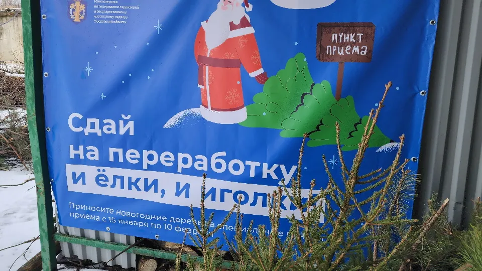 Фото: МедиаБанк Подмосковья/Валерия Тингаева