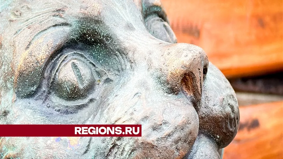 Фото: МедиаБанк Подмосковья/Данила Кирьянов&nbsp;