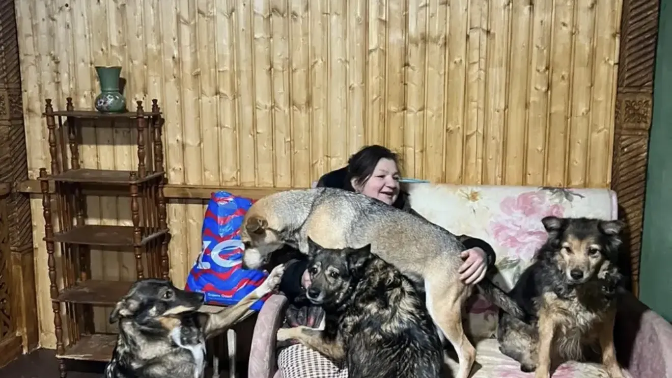 Картинка