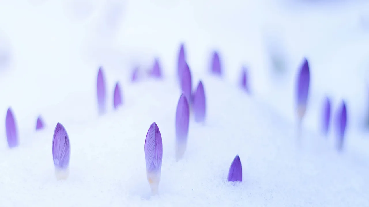 Фото: unsplash