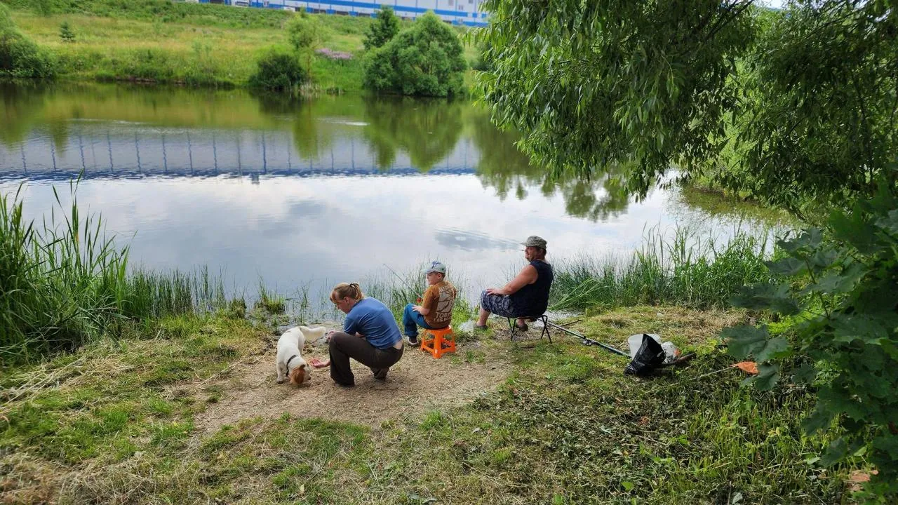 Картинка