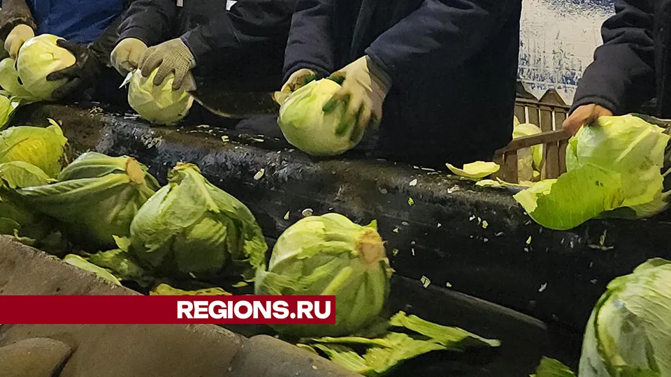 Фото: Валерий Гореловский