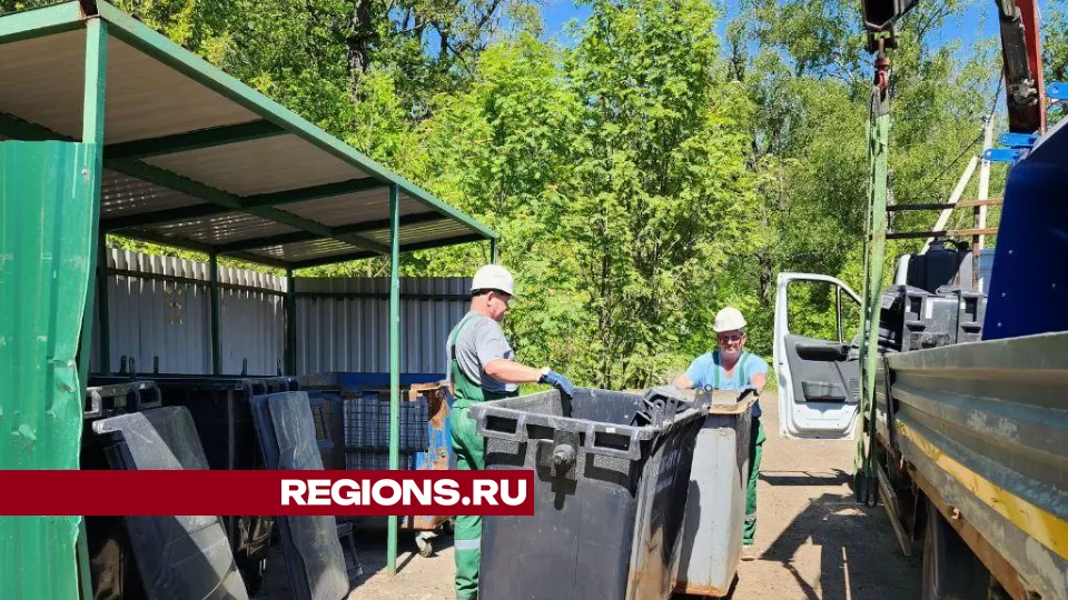 Фото: Дмитрий Алексеенко