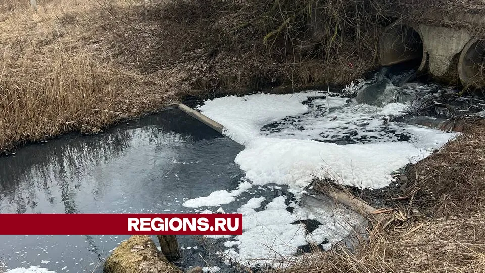 Фото: личный архив Дмитрия Куприенко