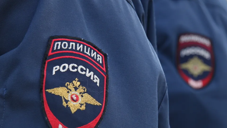 Фото: Медиаархив Подмосковья