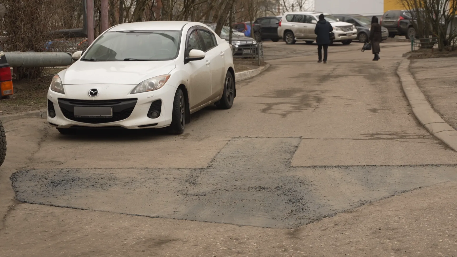Фото: МедиаБанк Подмосковья/Елена Аботурова