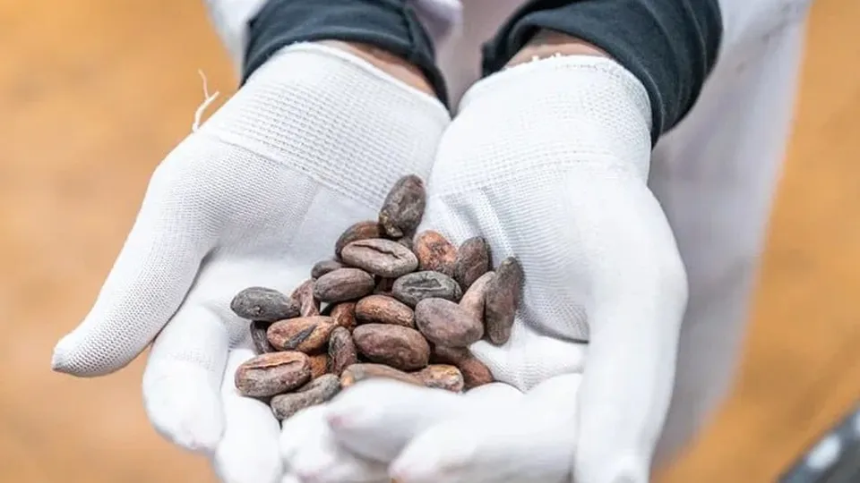 Фото: Минсельхозпрод МО