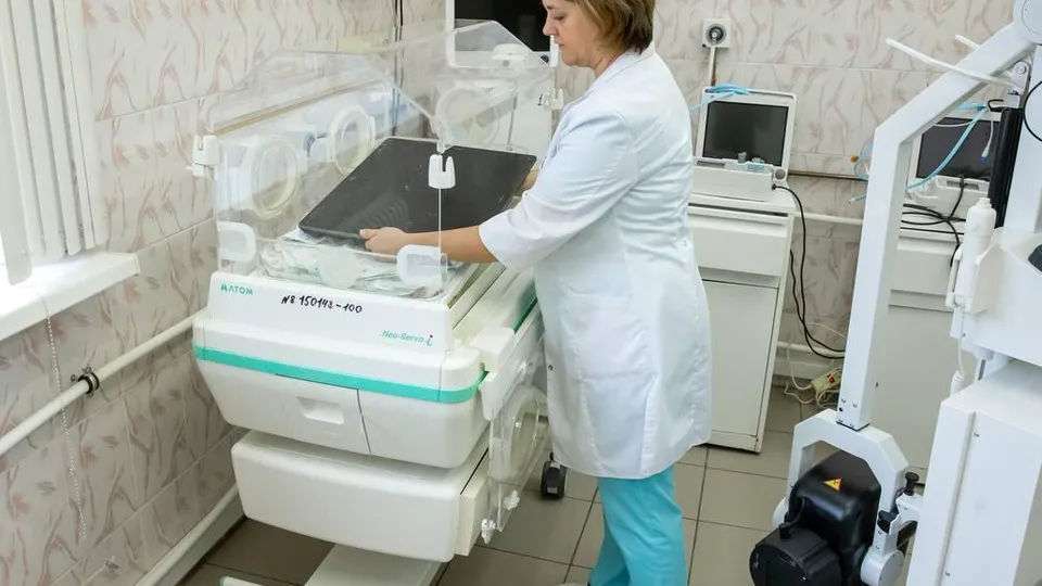 Фото: пресс-служба администрации г.о. Подольск