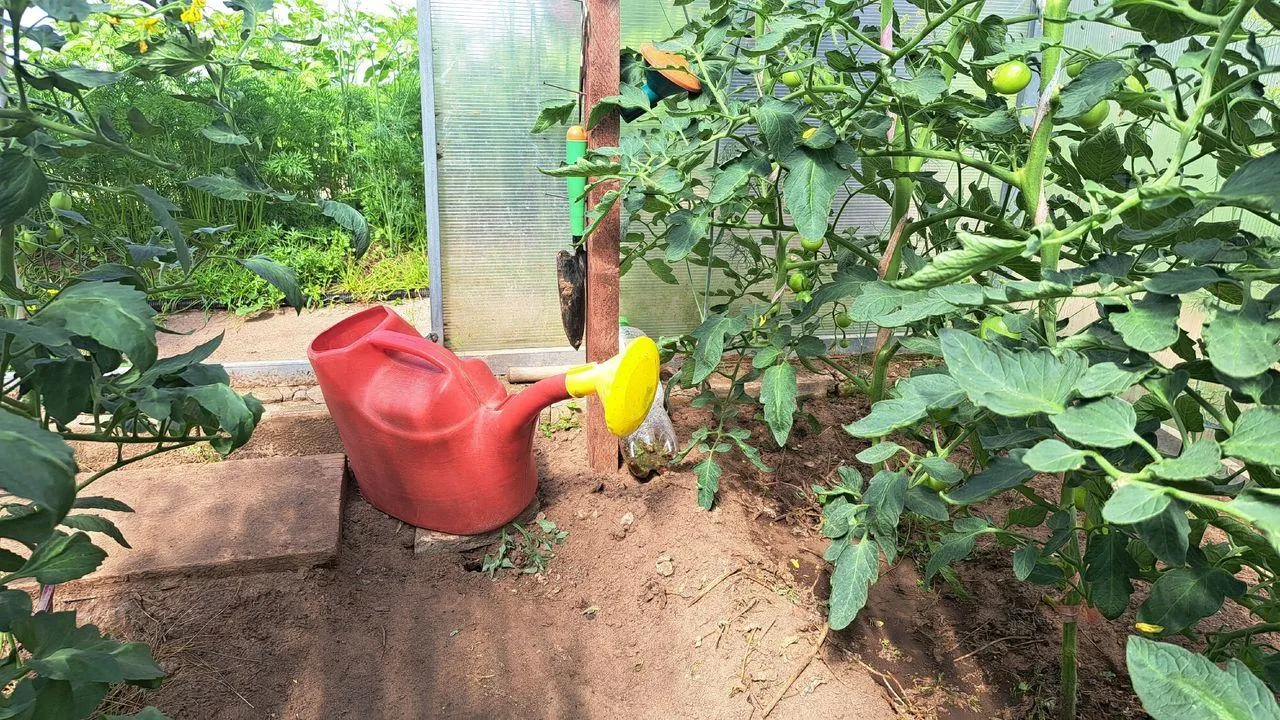 Картинка