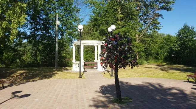 Картинка
