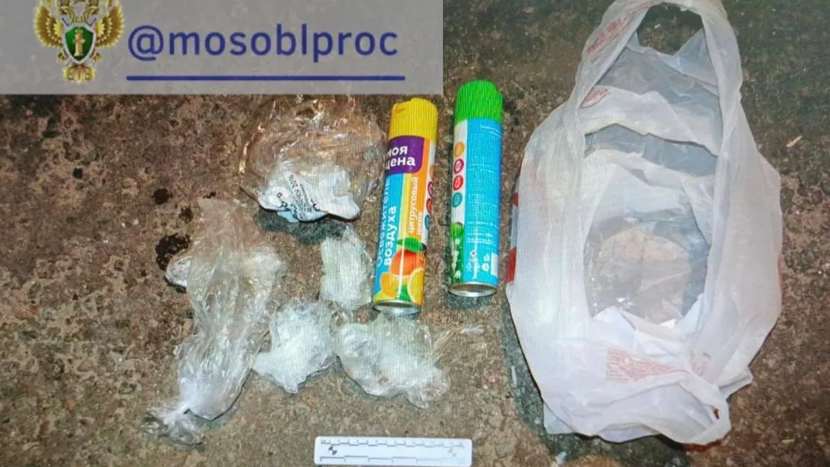 пресс-служба прокуратуры Московской области