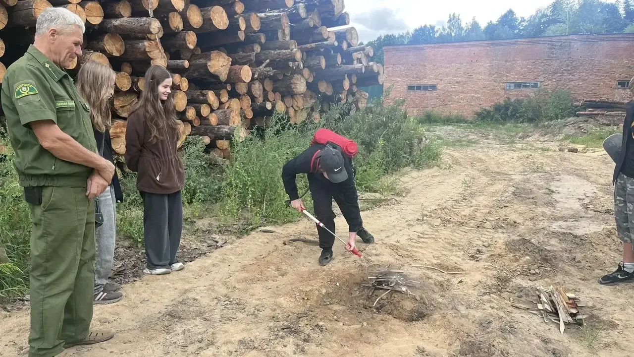 Картинка