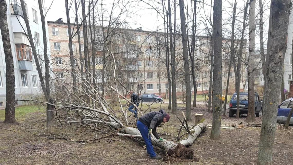 Фото: администрация Наро-Фоминского округа