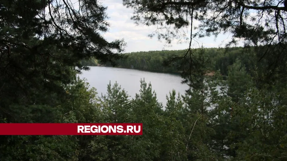 Фото: Алексей Грызлов