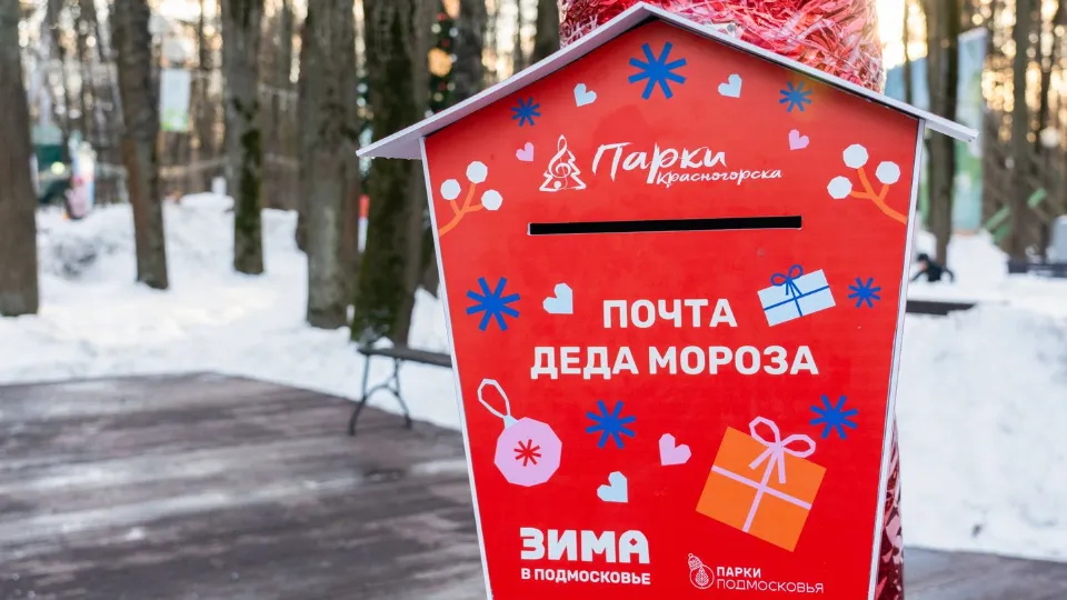 Фото: медиасток.рф