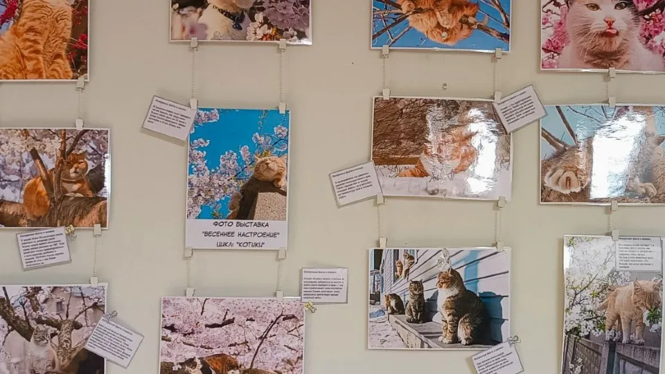 Фото: ДК «Икша», филиал ЦКР «Некрасовский»