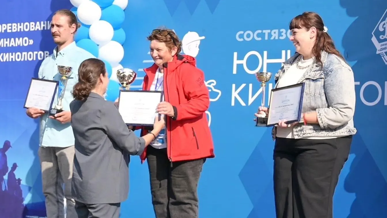 Картинка