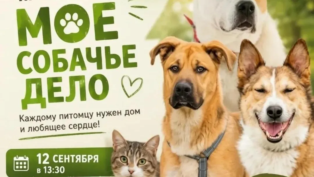 Афиша создана с помощью GPTchat