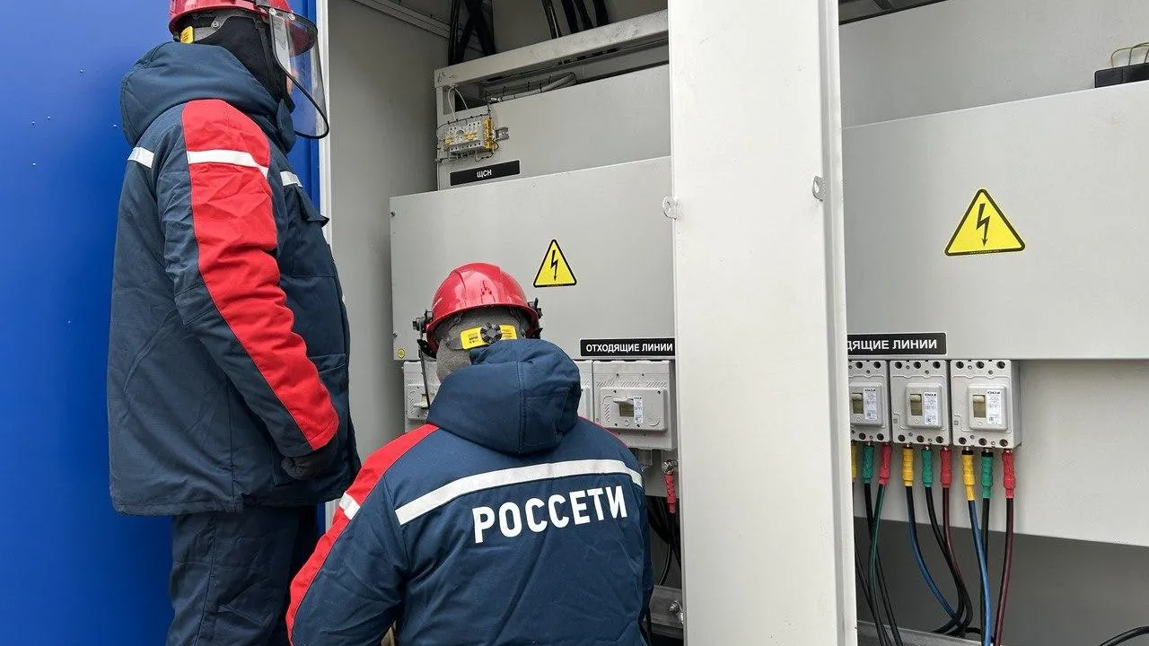 Фото: Россети Московской области