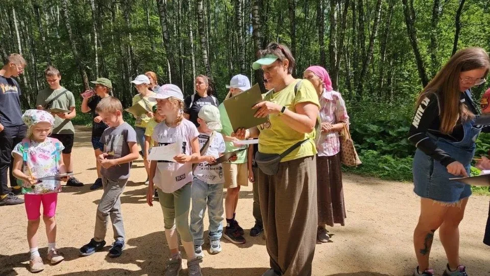 Картинка