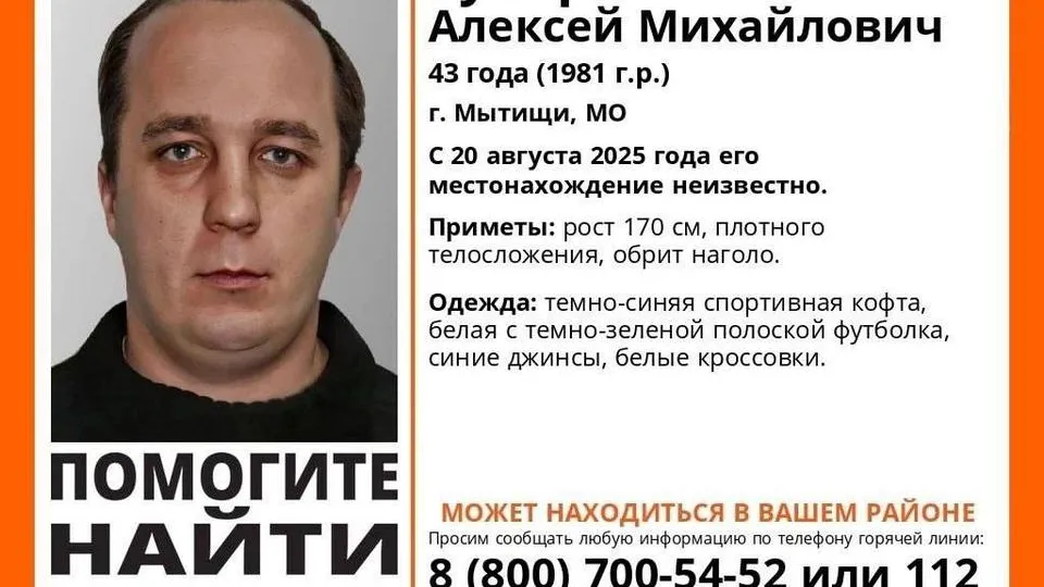 Фото: Поисково-спасательный отряд «Лиза Алерт»