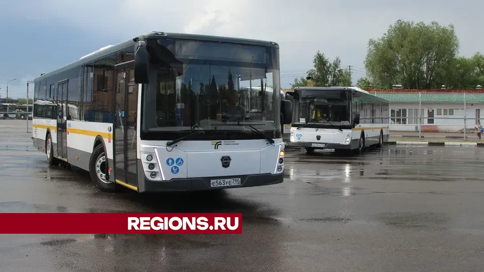 Фото: REGIONS/Василий Тремасов