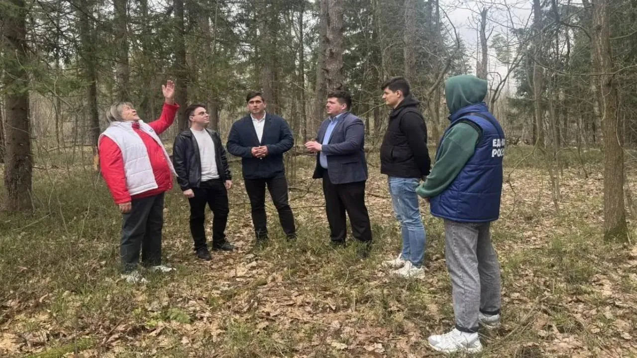 Картинка