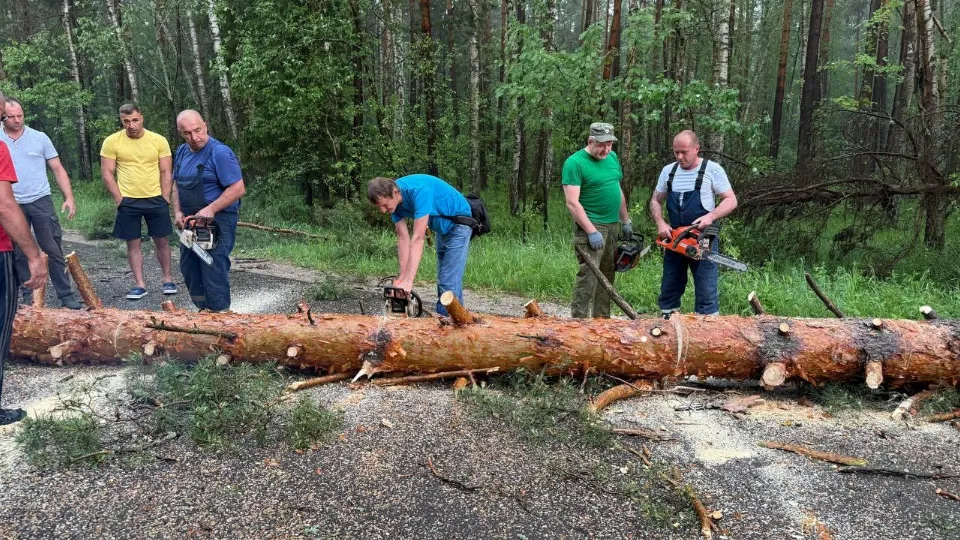 Фото: Комитет лесного хозяйства Московской области