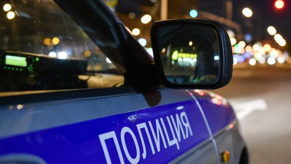 Фото: Медиаархив Подмосковья