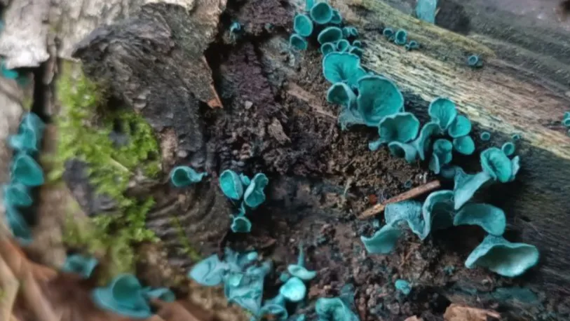 Фото: предоставлено очевидцем