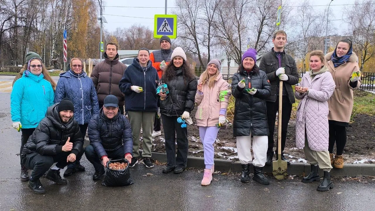 Картинка