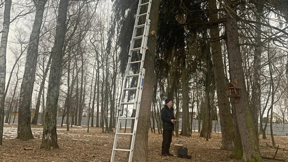 Фото: МБУК «Городской парк культуры и отдыха»