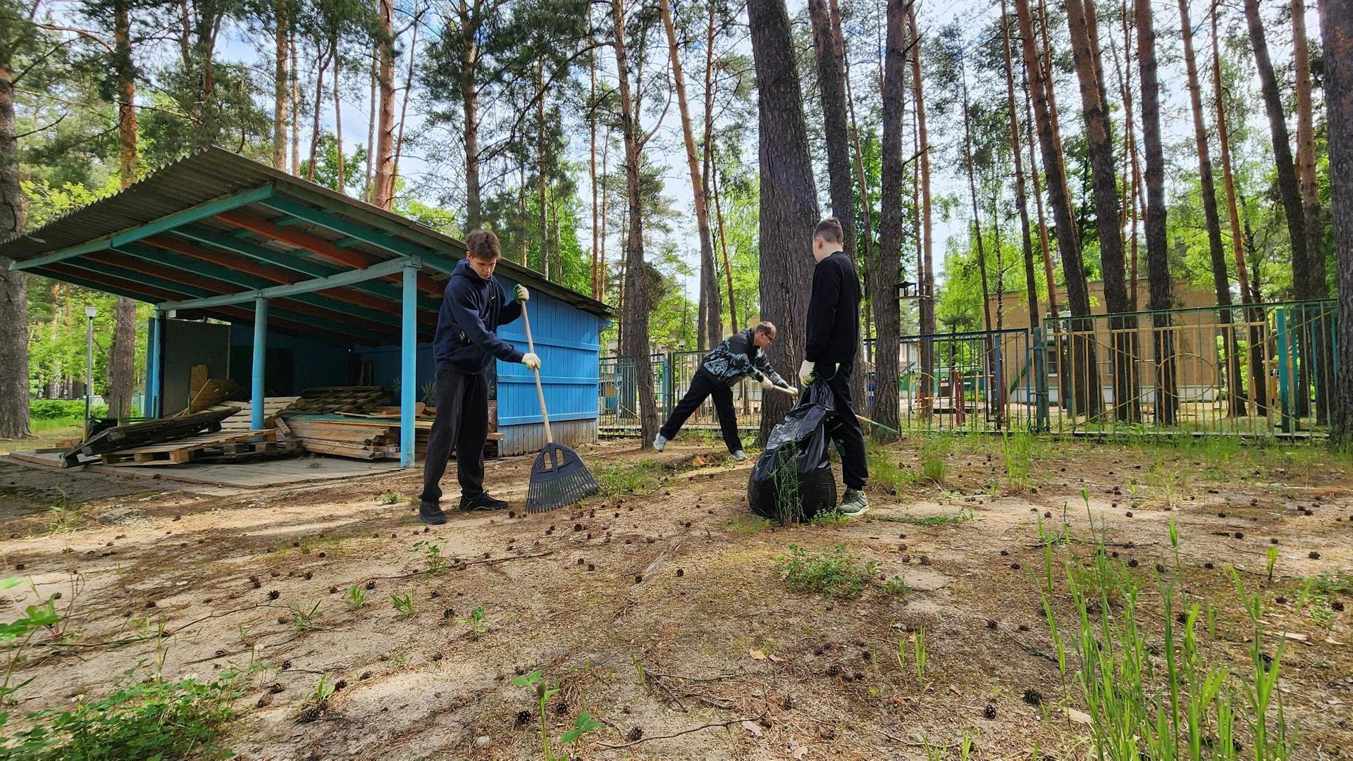 Картинка