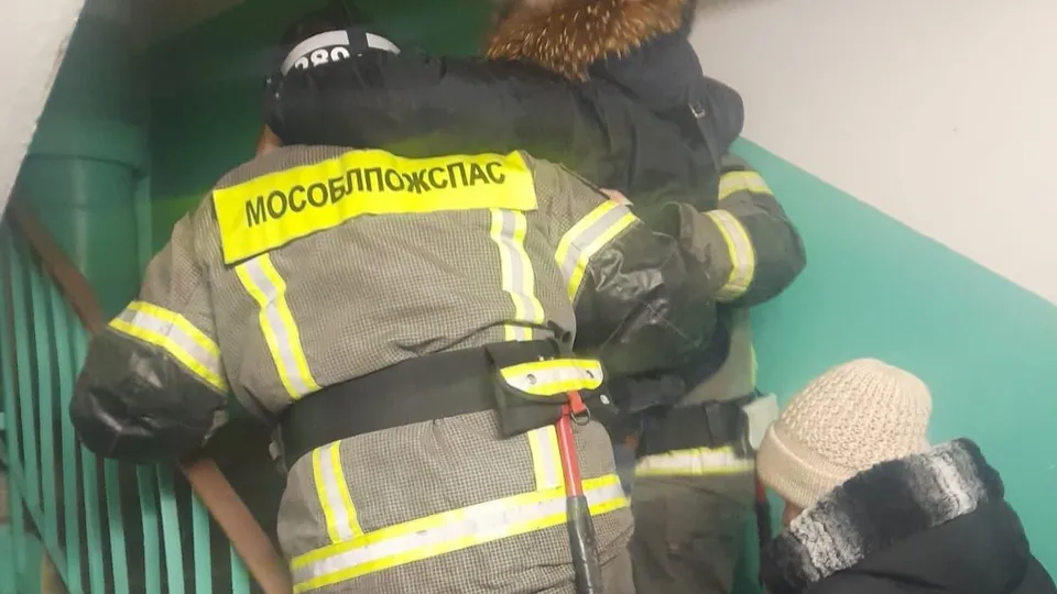 Фото: ГКУ МО «Мособлпожспас»