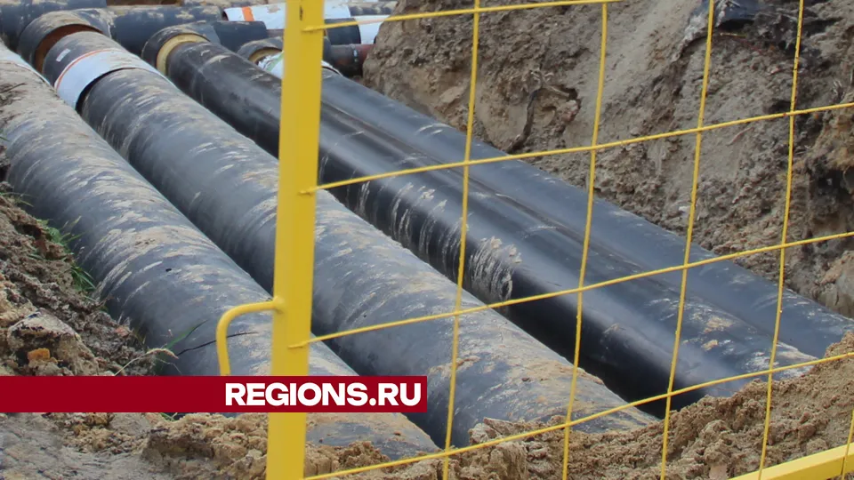Фото: REGIONS/Василий Тремасов