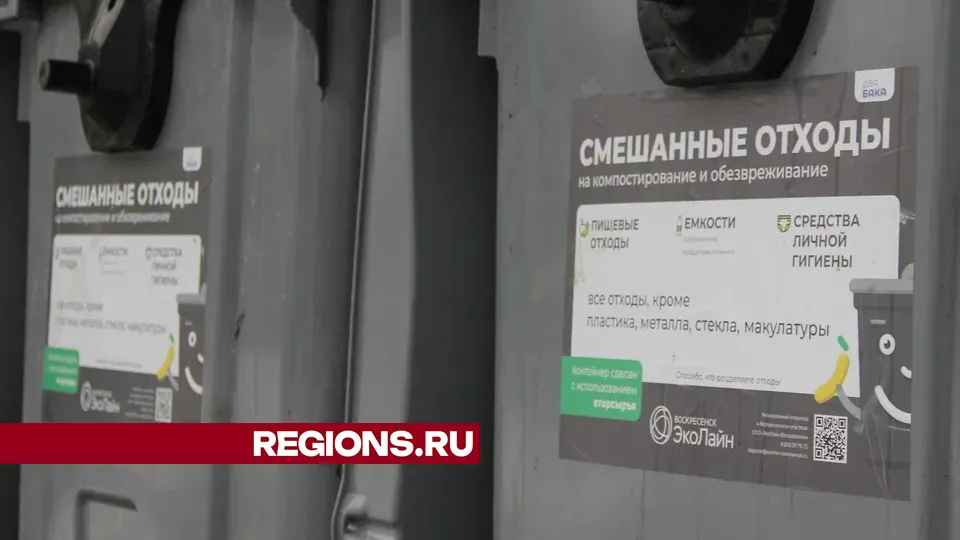 Фото: REGIONS/Василий Тремасов