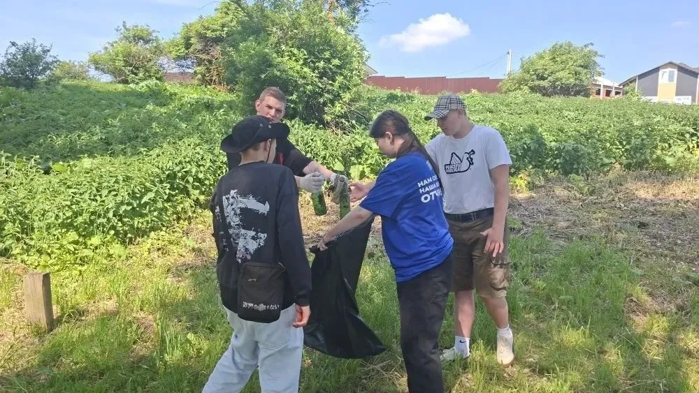 Картинка